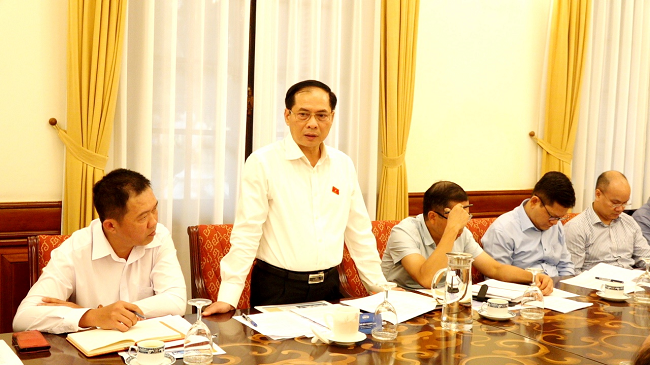 Bộ trưởng Ngoại giao Bùi Thanh Sơn phát biểu tại buổi làm việc với tỉnh Quảng Ngãi