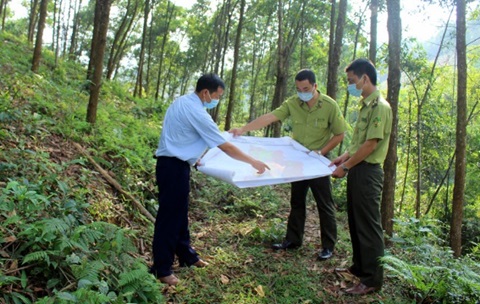Nâng cao năng lực cho lực lượng kiểm lâm trong công tác quản lý, bảo vệ rừng và PCCC rừng giai đoạn 2021 - 2030