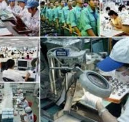 Implementation plan for the Labor Market Development support Program in 2022 in Quang Ngai