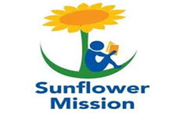 Sunflower Mission supporting playground equipment in Tra Bong district