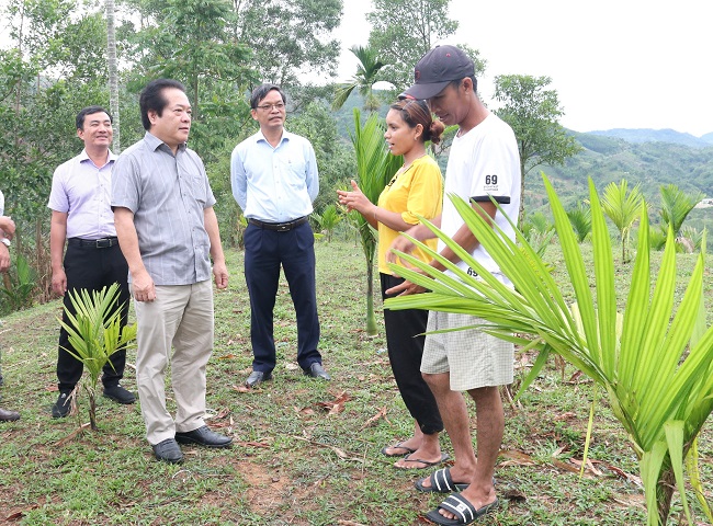 Phó Chủ tịch UBND tỉnh Võ Phiên kiểm tra thực tế việc triển khai thực hiện 02 Chương trình MTQG tại huyện Sơn Tây