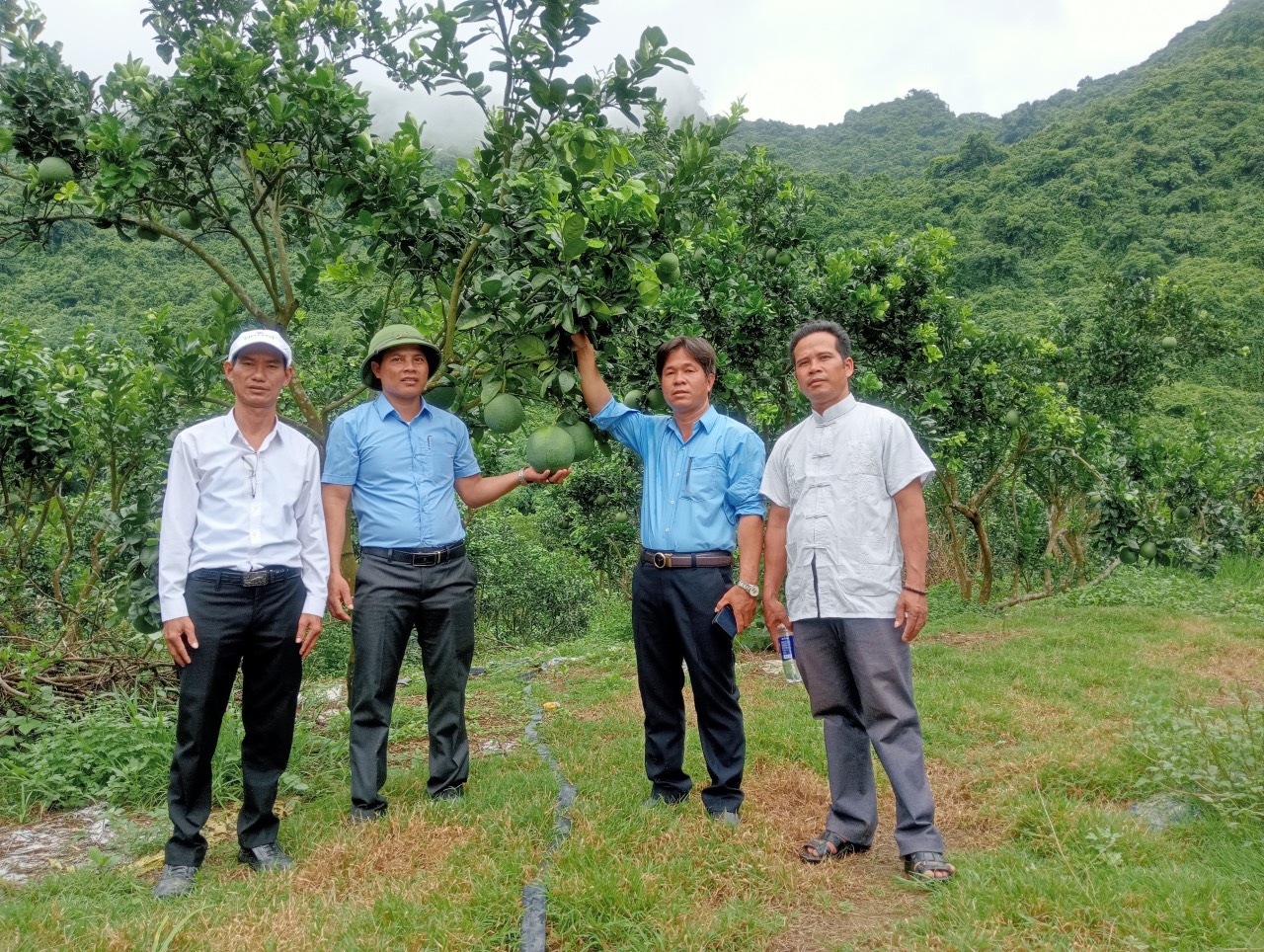 Đoàn công tác của huyện Ba Tơ, tỉnh Quảng Ngãi học tập kinh nghiệm tại các tỉnh phía Bắc
