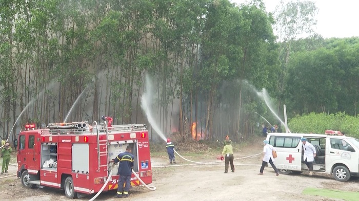 Tăng cường các biện pháp phòng cháy, chữa cháy rừng trên địa bàn tỉnh năm 2024