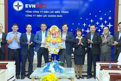 Lãnh đạo tỉnh thăm, chúc Tết Công ty Điện lực Quảng Ngãi