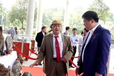 Lãnh đạo tỉnh tham quan khu vực trưng bày các tác phẩm cây cảnh, đá cảnh