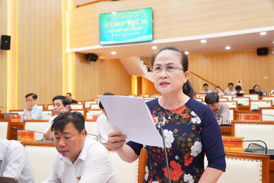Các Ban HĐND tỉnh báo cáo thẩm tra các Tờ trình
