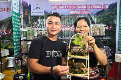 Nhiều sản phẩm được trưng bày