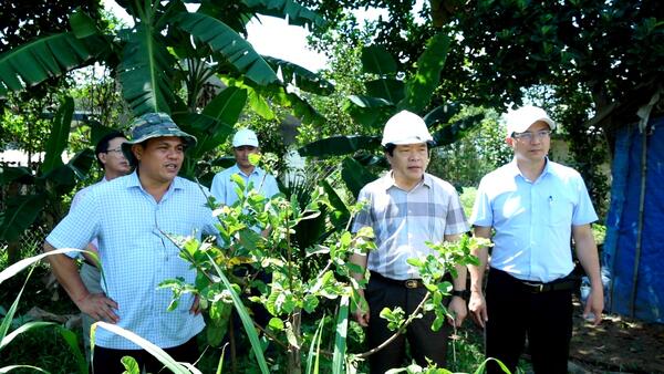 Tin nổi bật