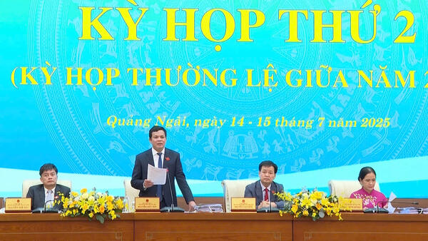 HĐND tỉnh thảo luận tình hình kinh tế - xã hội 6 tháng đầu năm và các chỉ tiêu, nhiệm vụ 6 tháng cuối năm 2025