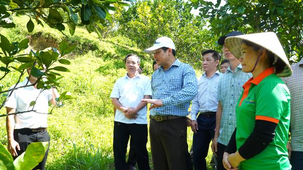 Phó Bí thư Tỉnh ủy, Chủ tịch HĐND tỉnh Nguyễn Đức Tuy khảo sát các tuyến giao thông và mô hình kinh tế tại xã Sơn Tây Thượng