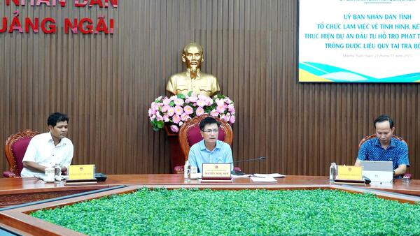 UBND tỉnh cho ý kiến về việc thực hiện dự án đầu tư hỗ trợ phát triển vùng trồng dược liệu quý tại Trà Bồng