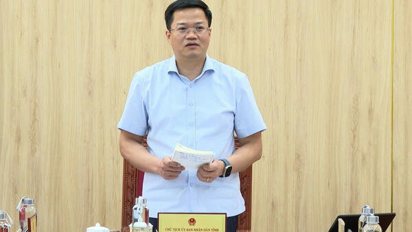 UBND tỉnh cho ý kiến đối với đề xuất cơ chế, chính sách thúc đẩy phát triển Trung tâm lọc hóa dầu và năng lượng quốc gia