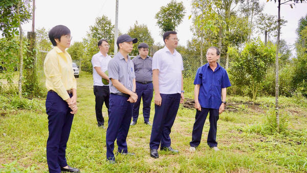 Chủ tịch UBND tỉnh Nguyễn Đức Tâm khảo sát các mô hình nông nghiệp tiêu biểu tại Đăk Hà, Đăk Mar