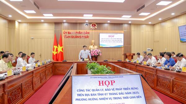 Đẩy mạnh công tác quản lý, bảo vệ rừng trên địa bàn tỉnh Quảng Ngãi