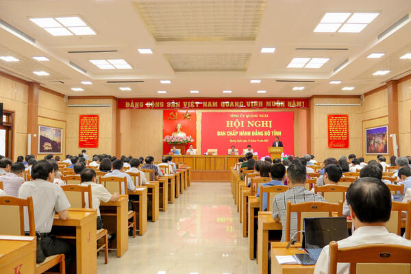 Hội nghị Ban Chấp hành Đảng bộ tỉnh