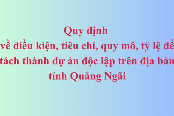 Quy định về điều kiện, tiêu chí, quy mô, tỷ lệ để tách thành dự án độc lập trên địa bàn tỉnh Quảng Ngãi