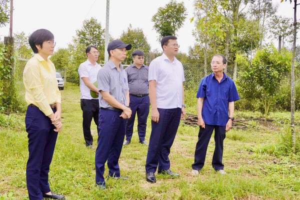 Tin nổi bật