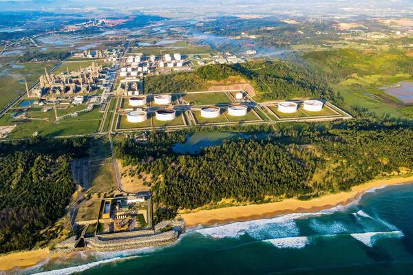 BSR hưởng ứng Ngày Môi trường Thế giới 2025 bằng hành động cụ thể, lan tỏa lối sống xanh