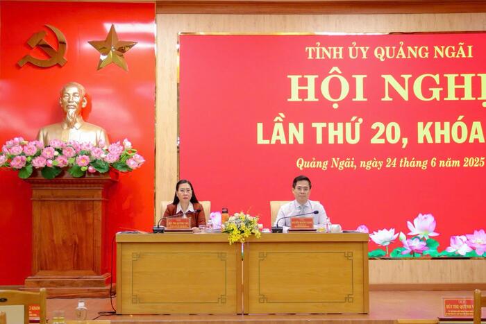 The 20th session of the 20th Provincial Party Committee