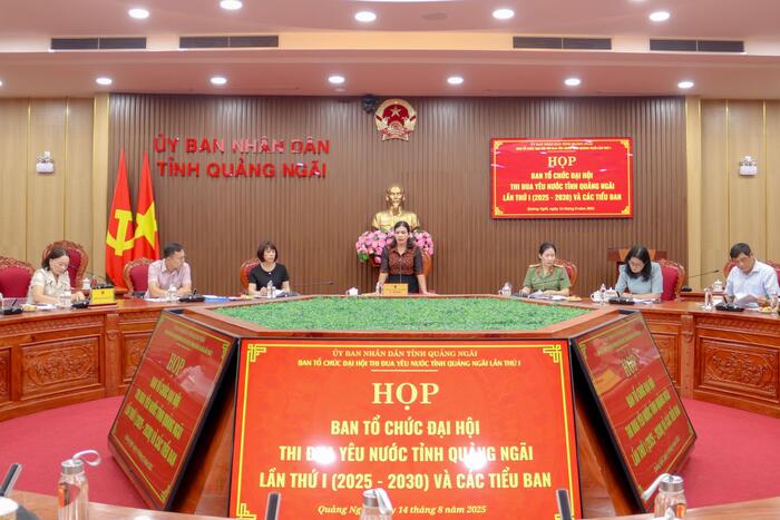 Preparatory meeting for the first Quảng Ngãi Patriotic Emulation Congress