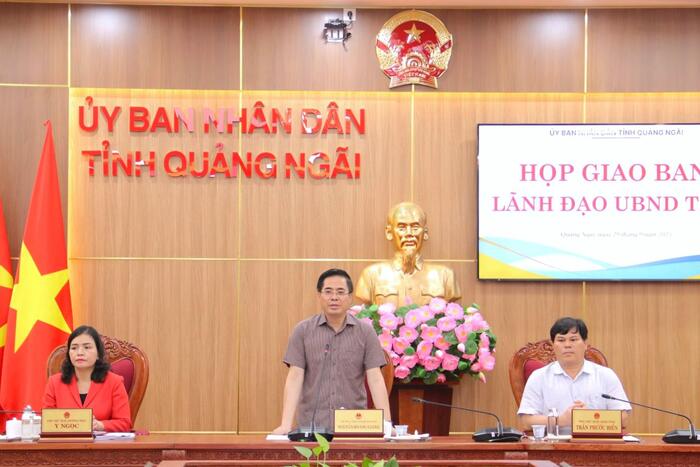 PPC leaders review governance, suspend Bình Sơn urban plan