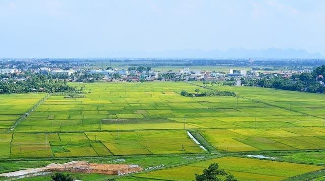 Quản lý, sử dụng đất đồng bộ với nền kinh tế thị trường định hướng xã hội chủ nghĩa - Ảnh 1.